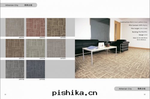 PU方(fāng)块(kuài)地(dì)毯(tǎn)