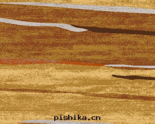 走(zǒu)道(dào)地(dì)毯(tǎn)