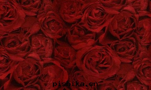 金(jīn)箔壁(bì)紙(zhǐ)