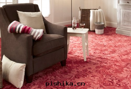 新(xīn)森林(lín)