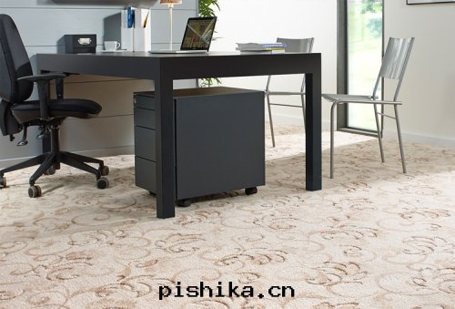 月(yuè)光(guāng)曲(qū)