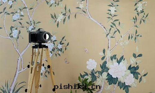 牆(qiáng)紙(zhǐ)