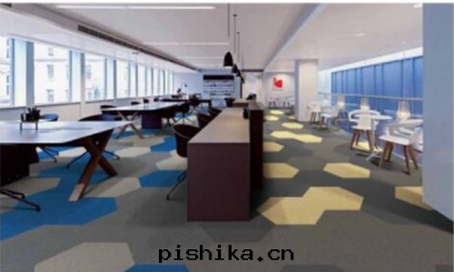 美(měi)國(guó)諾娜雅特(tè)地(dì)毯(tǎn)