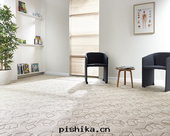 1409550971111495.jpg 波(bō)爾卡(kǎ).jpg