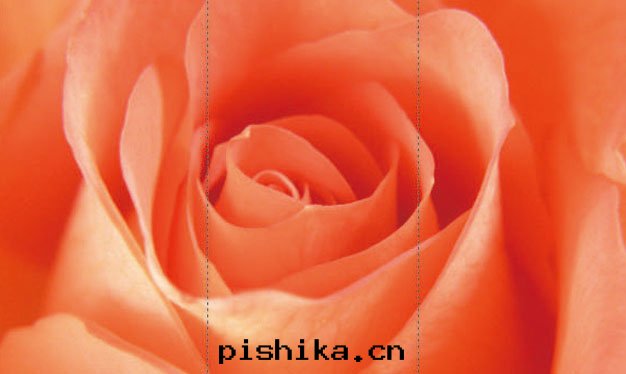 1410518583992579.jpg p98p99新(xīn)-.jpg